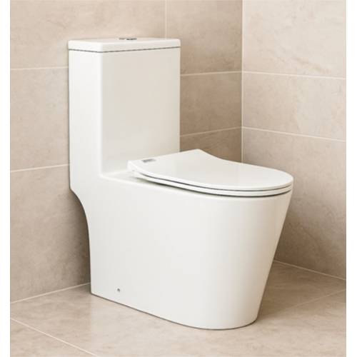 Toilet Bowls