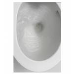 Toilet Bowls